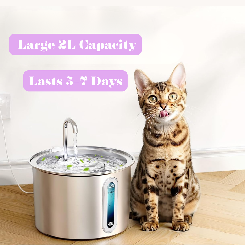 Award Winning Drinking Fountain - 2L Ultra Quiet