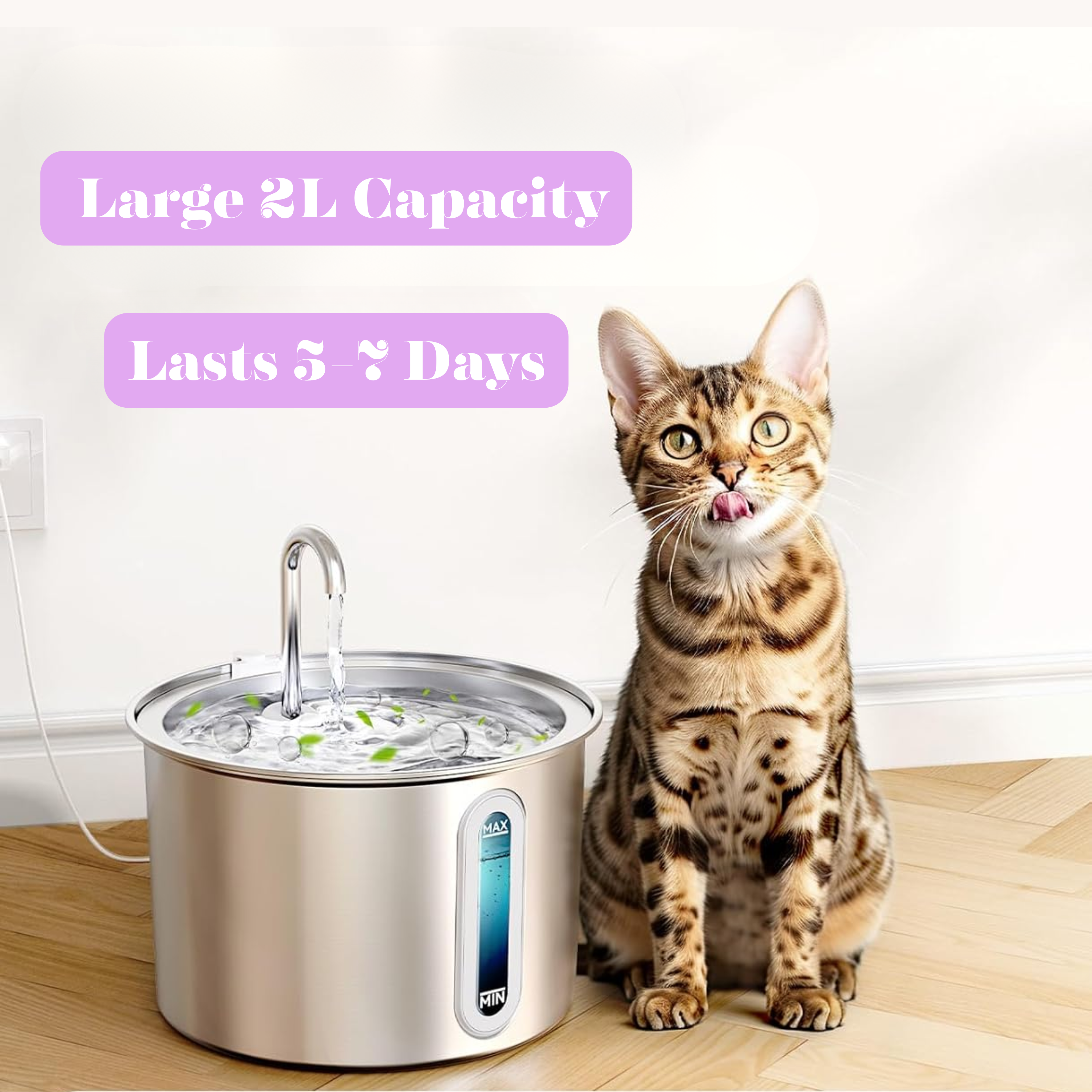 Award Winning Drinking Fountain - 2L Ultra Quiet